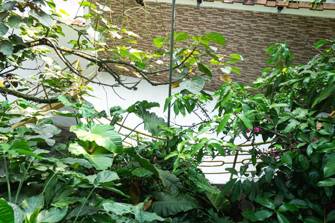 Green House 타라포토 외부 사진